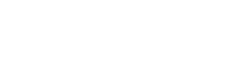Circuito en Línea